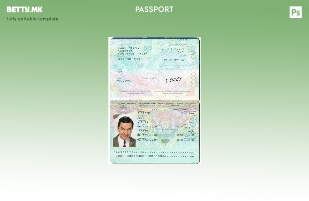 Шаблон за авганистански пасош во модерен стил